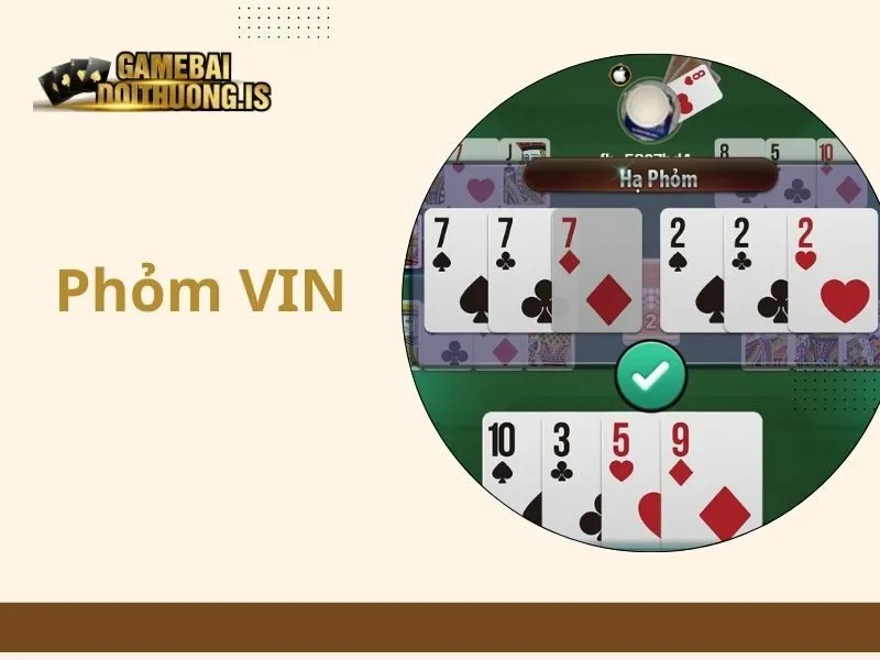 phỏm vin